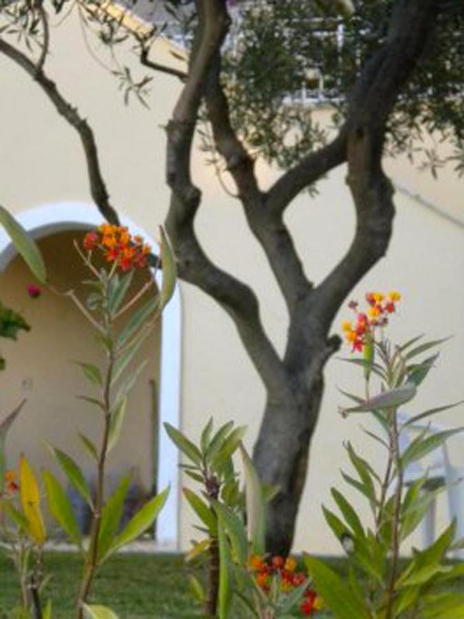 Natalia Apartment B With Panoramic Sea Views Of Agios Gordios Bay 외부 사진
